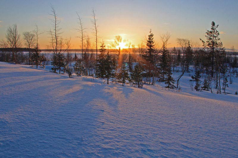 природа Ямала природа Ямала